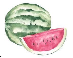 吃瓜的琉璃,吃瓜群众视角下的琉璃世界