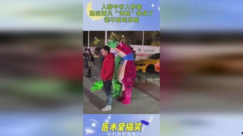 青蛙营业吃瓜,揭秘青蛙吃瓜背后的趣味与商机