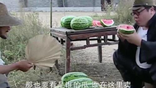 胖翻译吃瓜结果,揭秘网络热词背后的文化现象