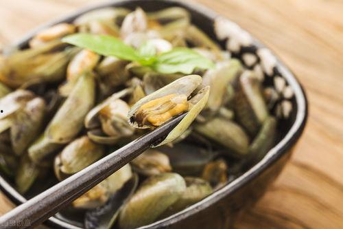 米坦吃粉条瓜,一场味蕾与自然的邂逅