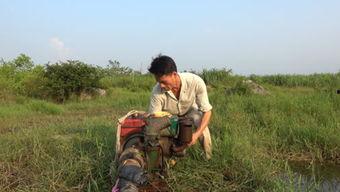 壮乡小莫吃瓜,壮乡小莫的夏日吃瓜日记