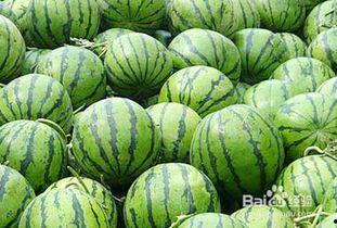 吃麻醉瓜上火吗,上火问题大揭秘