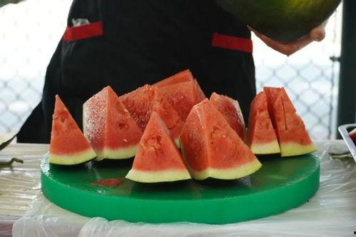 航空技校吃瓜,揭秘吃瓜背后的校园故事