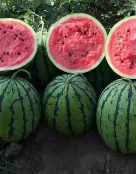 吃瓜被扣30分,30分扣分引热议