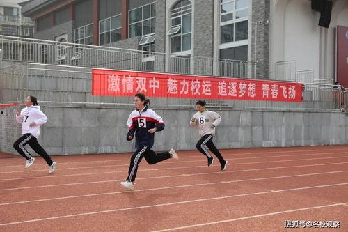 双流中学吃瓜,揭秘校园里的热点话题