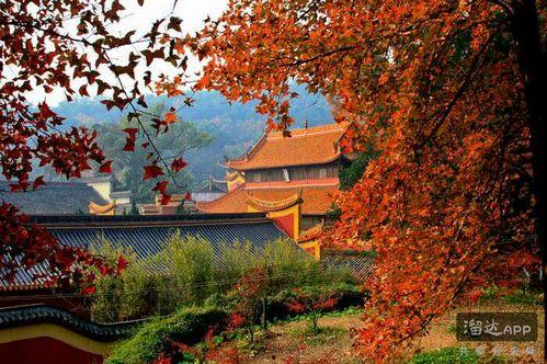 岳麓山吃瓜视频,揭秘夏日消暑新潮流