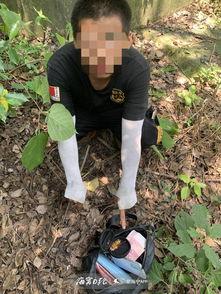 警花被迫吃瓜,瓜田里吃瓜成“网红”