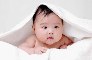 吃瓜新人宝宝,揭秘吃瓜界的可爱新星