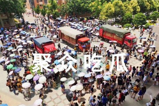 学生校园吃瓜,揭秘学生们的“吃瓜”生活