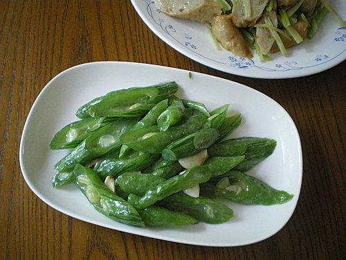 蛇宝吃瓜,揭秘瓜界奇闻异事