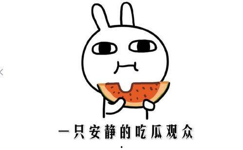 吃瓜唠含义,揭秘娱乐圈幕后故事