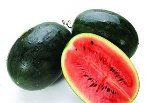 瓜哥吃瓜回文怎么写,回文趣味横生