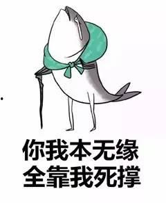 吃瓜不嫌撑,不嫌撑，尽享瓜界盛宴