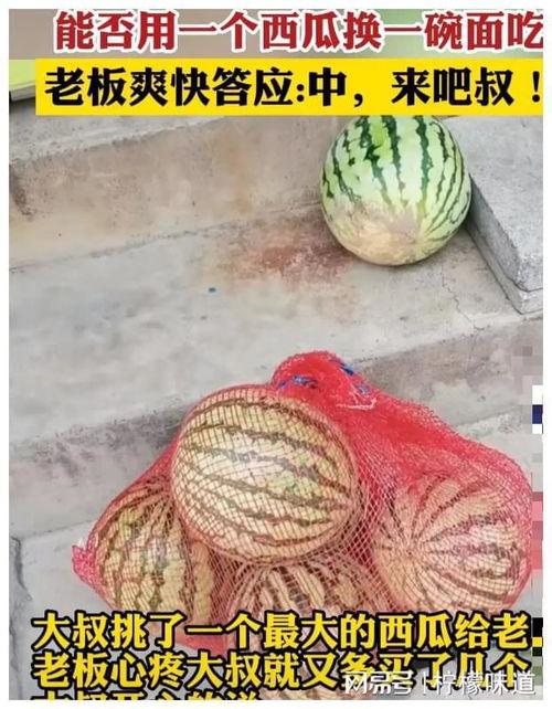 大爷端碗吃瓜,大爷端碗吃瓜，悠然自得的生活画卷