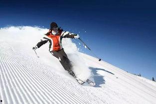 滑雪冰箱吃瓜,夏日消暑新风尚