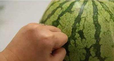 吃瓜要硬吃,吃瓜达人教你如何硬吃瓜