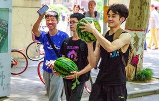 烟台学校吃瓜,揭秘校园吃瓜盛况