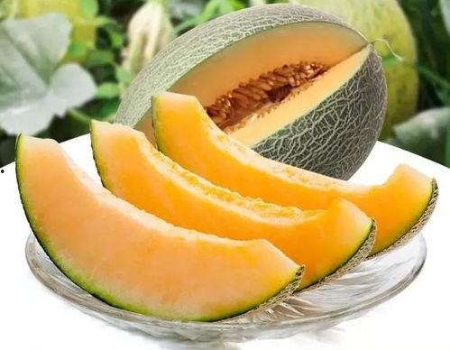 瓜州吃瓜在哪里吃,探寻瓜乡美食之旅