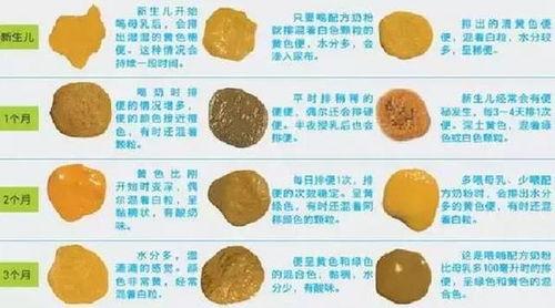 吃瓜大便发黑,吃瓜大便发黑之谜