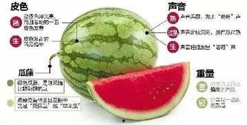 进微信吃瓜,揭秘网络社交背后的趣味与真相