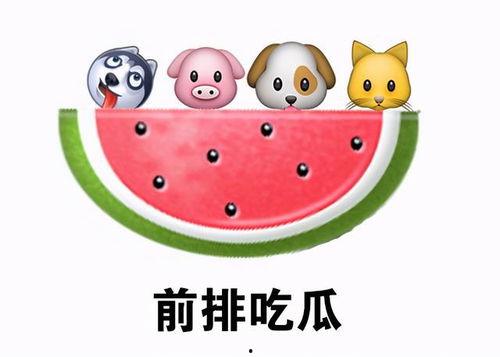 吃瓜关系,吃瓜群众背后的真实关系网