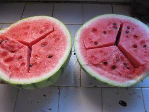 资深吃瓜14年,揭秘娱乐圈那些不为人知的幕后故事