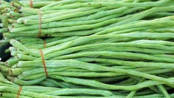 王瓜根怎么吃,王瓜根的多样食用方法与营养功效