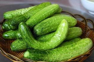 刀伤可以吃黃瓜,黄瓜的神奇疗愈作用