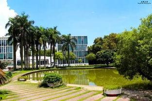 深圳大学吃瓜,吃瓜群众的味蕾探险记