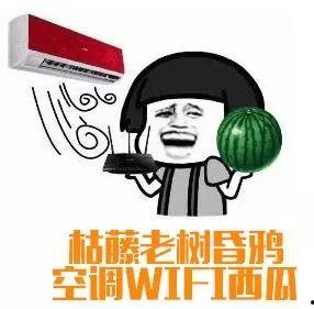 吃瓜群众买瓜犯法吗视频,法律边界与公众认知