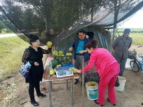 老乡吃瓜视频,揭秘“老乡吃瓜”视频背后的热点事件与网友热议