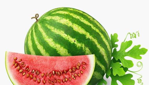 31人dna吃瓜,吃瓜群众的基因密码