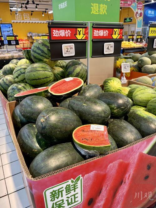 今年哪里有吃瓜季,全国多地开启“吃瓜季”狂欢之旅