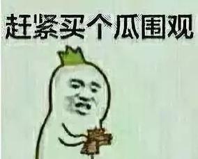 没有看懂吃瓜群众的人,探寻人生百态的旁观者视角