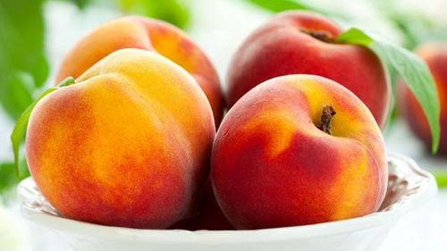 桃桃吃瓜小说,揭秘娱乐圈背后的秘密与真相