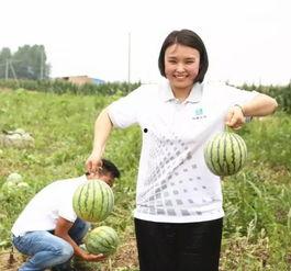 吃瓜漫漫团,揭秘娱乐圈幕后故事