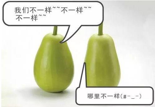 吃瓜视频警示,揭秘网络视频背后的风险与警示