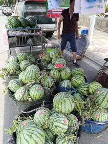 延安近期吃瓜事件,揭秘背后真相与网络舆论风暴