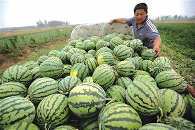 延安近期吃瓜事件,揭秘背后真相与网络舆论风暴