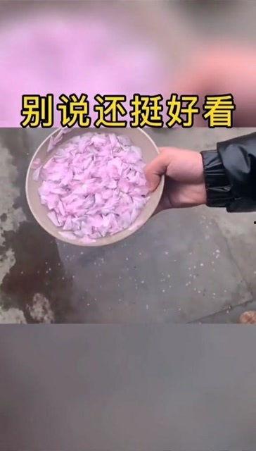 吃瓜有风险瞎吃需谨慎,揭秘网络谣言背后的风险与真相