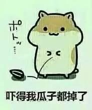 吃瓜有风险瞎吃需谨慎,揭秘网络谣言背后的风险与真相