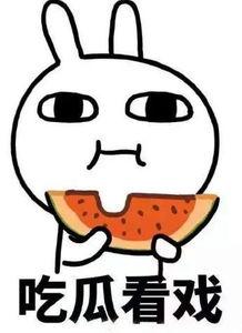 遮脸吃瓜什么意思,网络热词背后的趣味与内涵