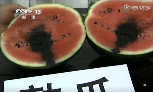 吃瓜精品各种视频,热门视频背后的精彩故事