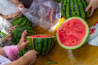 吃瓜精品各种视频,热门视频背后的精彩故事