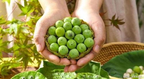 寒露不吃瓜只吃果都是什么瓜,揭秘寒露不吃瓜只吃果的奥秘