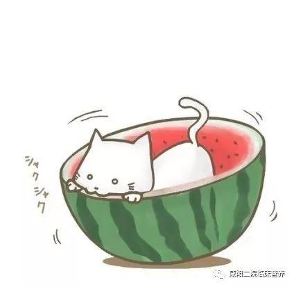 高清头像动漫吃瓜,揭秘二次元美食诱惑