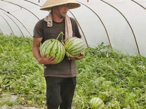 徐州工业吃瓜墙