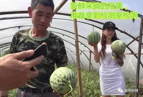 吃瓜群众大叔直播,吃瓜群众大叔带你领略直播界的独特魅力