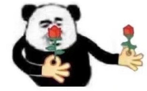 吃瓜沙雕熊猫图,萌态十足！