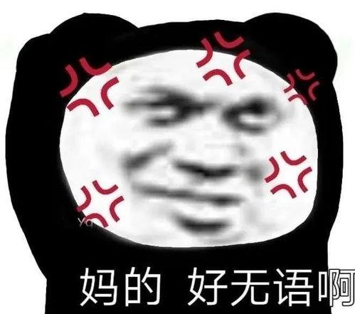 吃瓜沙雕熊猫图,萌态十足！